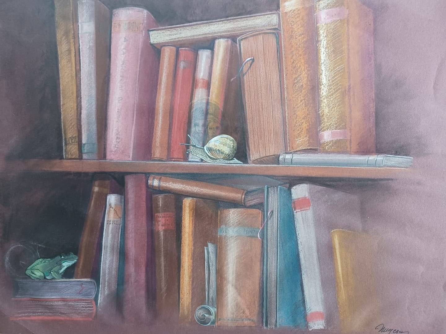 Bibliothèque - Format 29,7 x 21
