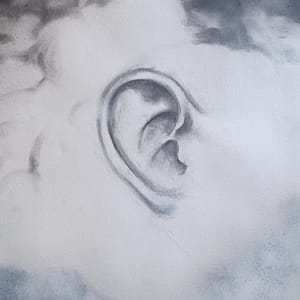 Ears in cloud - Format 80 x 55