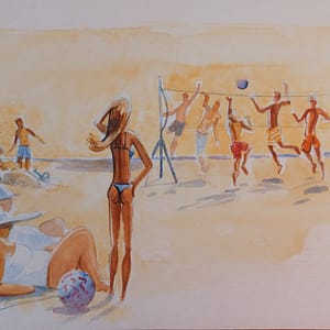 Volley beach