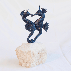 Les hippocampes amoureux