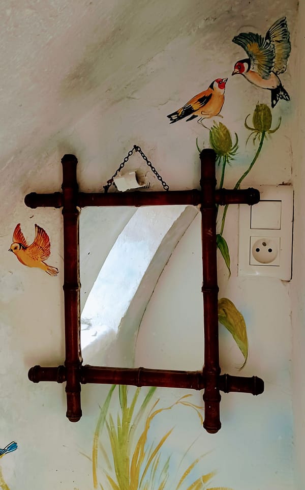 Oiseaux - trompe-l'oeil