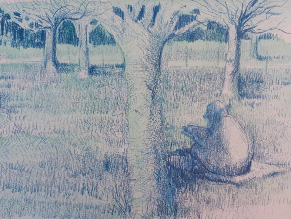 Le liseur du parc - Format : 21 x 29,7